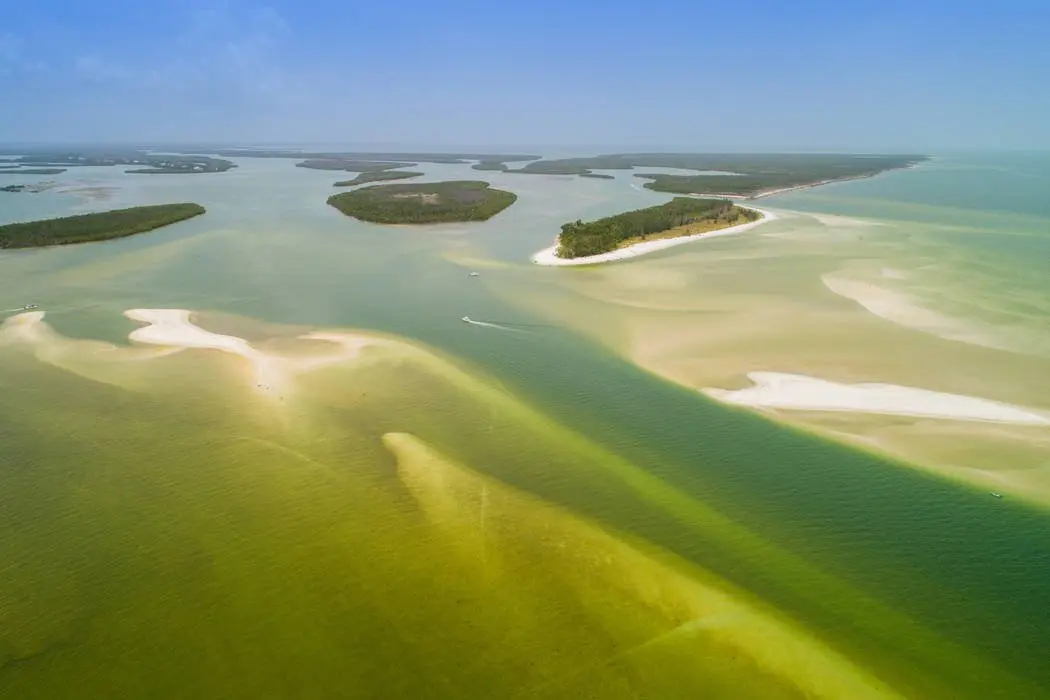 Mangrove islets of the Ten Thousand Islands, Florida