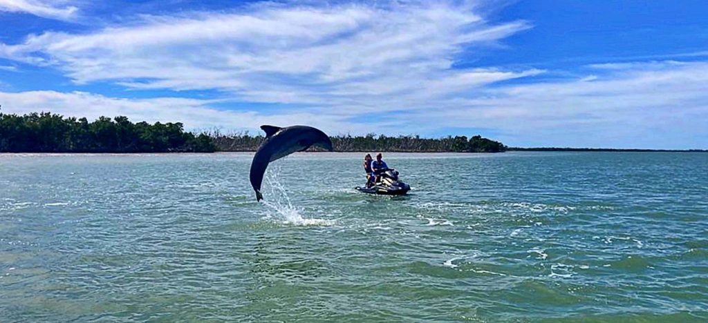 Marco Island Dauphin Jet Ski Tours
